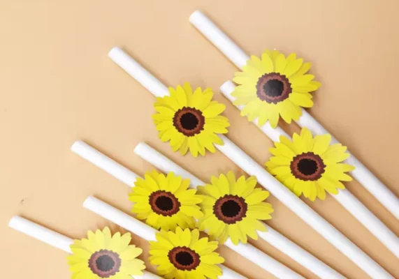 Giá bán ống hút giấy tốt và cạnh tranh tại Onghutthanthien.com