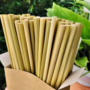 ống hút cỏ bàng - Onghutthanthien.com
