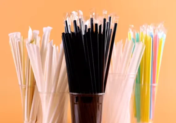 6 lý do bạn nên sử dụng ống hút thiên nhiên thay cho ống hút nhựa truyền thống