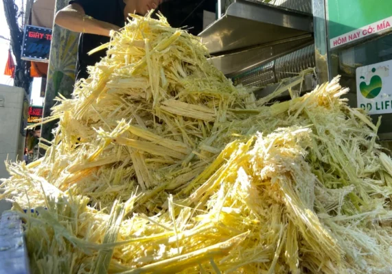 Bã mía để làm gì? 10 ứng dụng xanh của bã mía