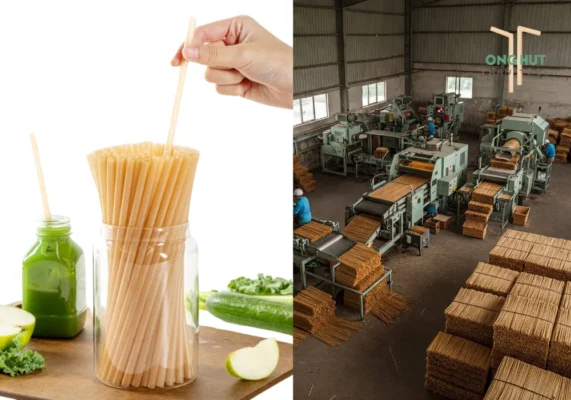 Nhà máy sản xuất ống hút bã mía uy tín, chất lượng tại Việt Nam