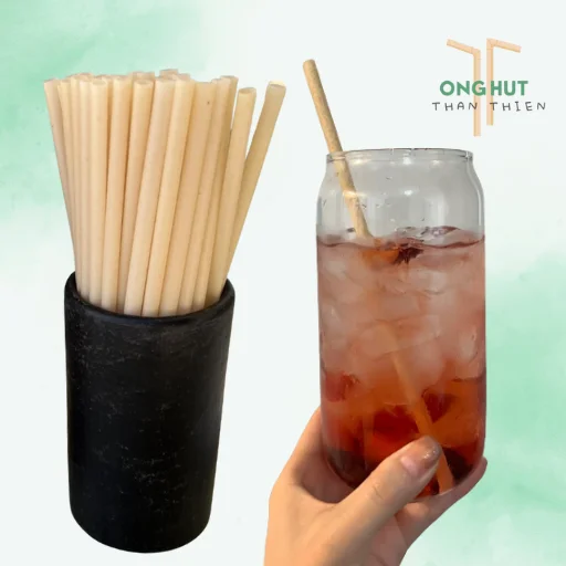 Top 5 công ty sản xuất ống hút tre chất lượng, cao cấp