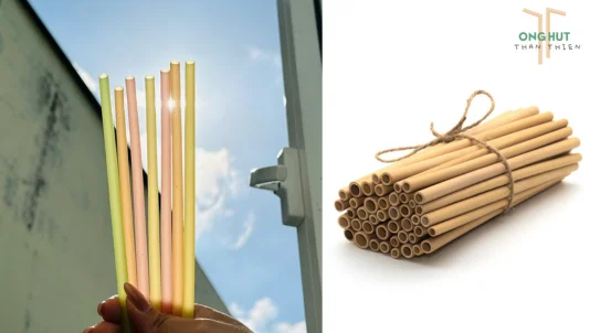 Top 8 loại ống hút hữu cơ thay thế ống hút nhựa, có loại "ăn được"