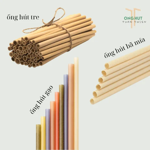 Top 8 loại ống hút hữu cơ thay thế ống hút nhựa, có loại "ăn được"