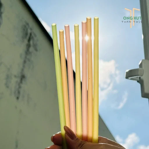 Top 8 loại ống hút hữu cơ thay thế ống hút nhựa, có loại "ăn được"