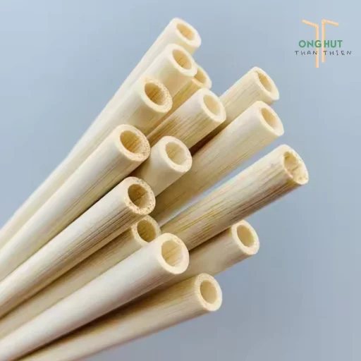 Top 8 loại ống hút hữu cơ thay thế ống hút nhựa, có loại "ăn được"