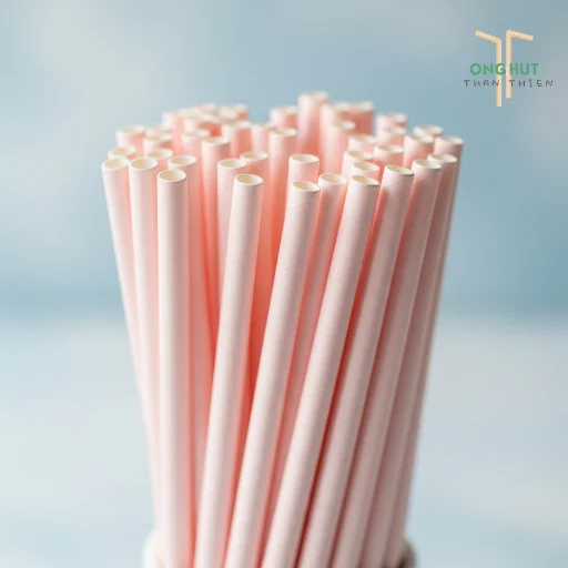 Top 5 địa chỉ xưởng sản xuất ống hút giấy giá rẻ, số lượng lớn