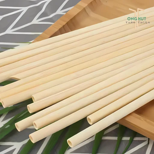 Tổng hợp 6 loại ống hút bảo vệ môi trường phổ biến nhất hiện nay