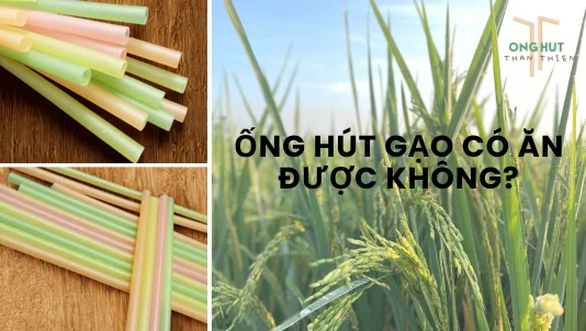 Ống hút gạo ăn được không và có thực sự thân thiện với môi trường?