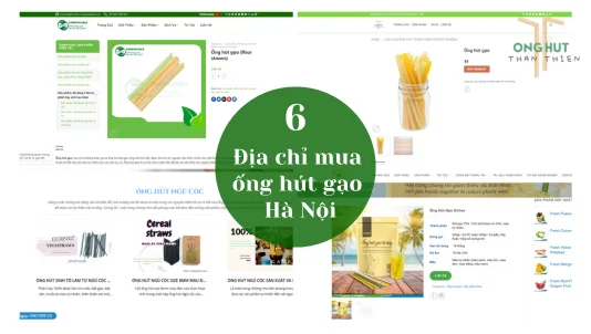Địa chỉ mua ống hút gạo Hà Nội giá rẻ, uy tín, chất lượng