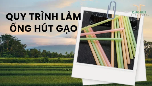 Quy trình làm ống hút gạo: Giải pháp xanh thay thế ống hút nhựa